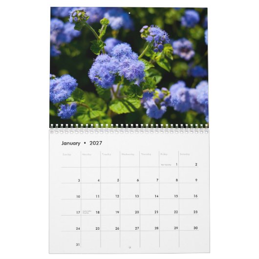 2011年の植物相 カレンダー (1月 2027)