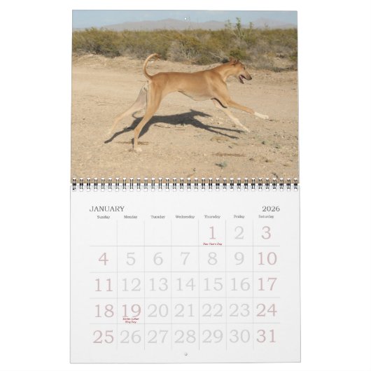 2011年アザワク暦 カレンダー (1月 2026)