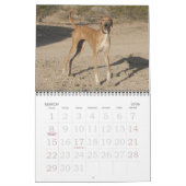 2011年アザワク暦 カレンダー (3月 2026)