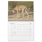 2011年アザワク暦 カレンダー (2月 2026)