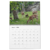 2011年カロライナ野生生物カレンダー カレンダー (3月 2026)