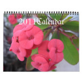 2011年花暦、 カレンダー (カバー)