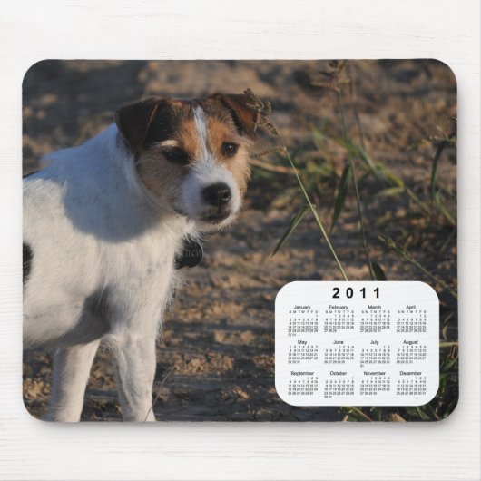 2011犬カレンダー – Parson Jack Russell Terrier マウスパッド (正面)