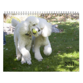 2011 カレンダー