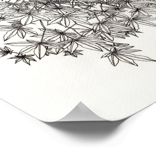 2011 鯉 ポスター (角)