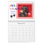 2011 ABGRAの救助のカレンダー カレンダー (2月 2026)