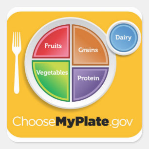 2011 Food Pyramid Choose Myプレートシール スクエアシール
