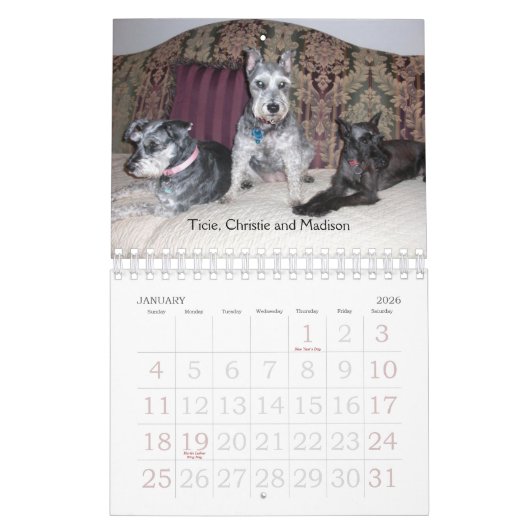 2011 SRMのカレンダー カレンダー (1月 2026)