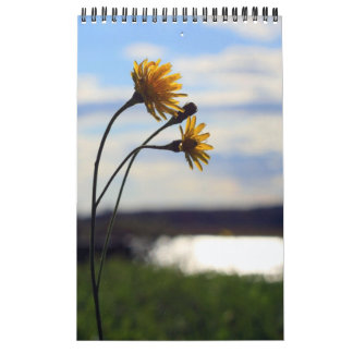 2012カレンダー カレンダー