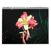 2012カレンダー カレンダー (カバー)