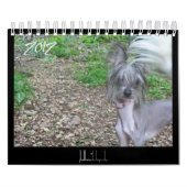 2012ヘアレスドッグカレンダー カレンダー (カバー)