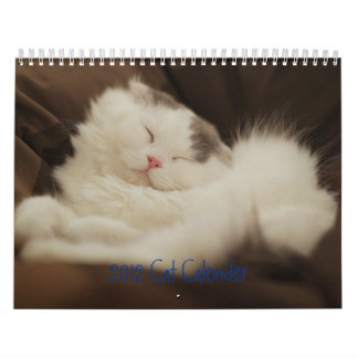 2012匹のかわいい猫 カレンダー
