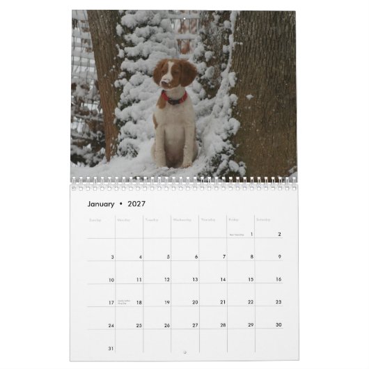 2012年のブリッタニーのカレンダー カレンダー (1月 2027)