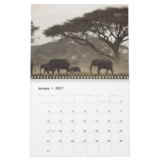 2012年の自然のカレンダー カレンダー (1月 2027)