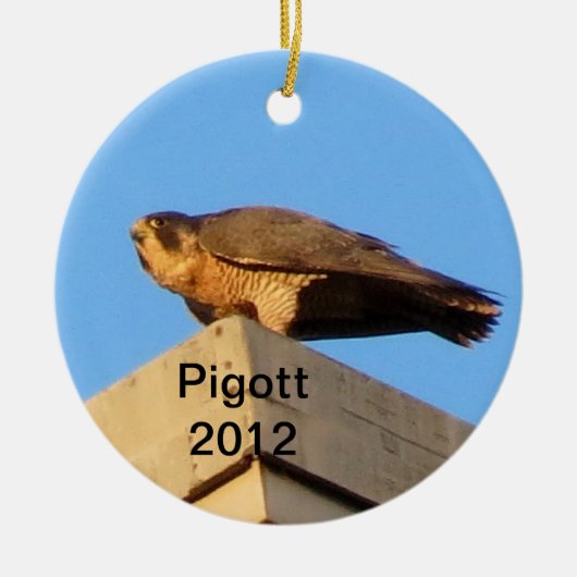 2012年のPigottのオーナメント セラミックオーナメント (正面)