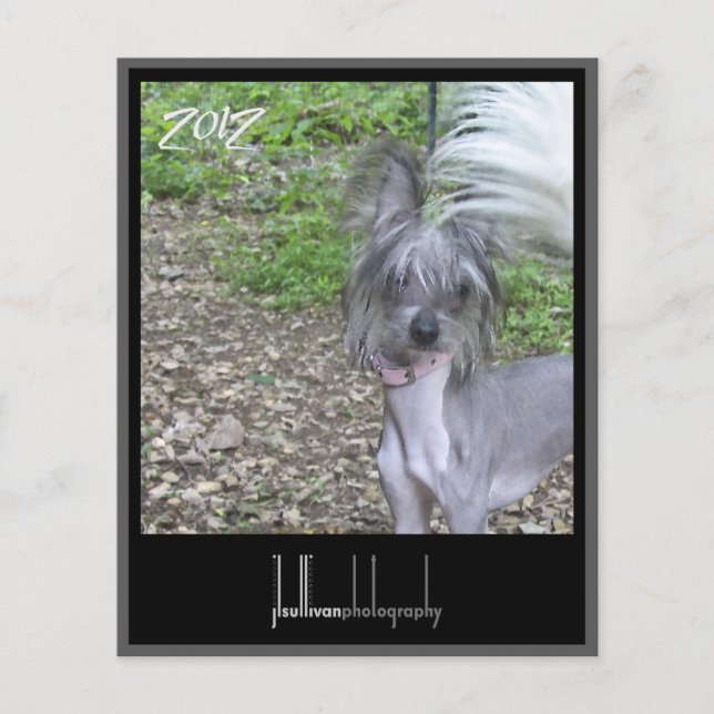 2012年カレンダー前面カバー (正面)