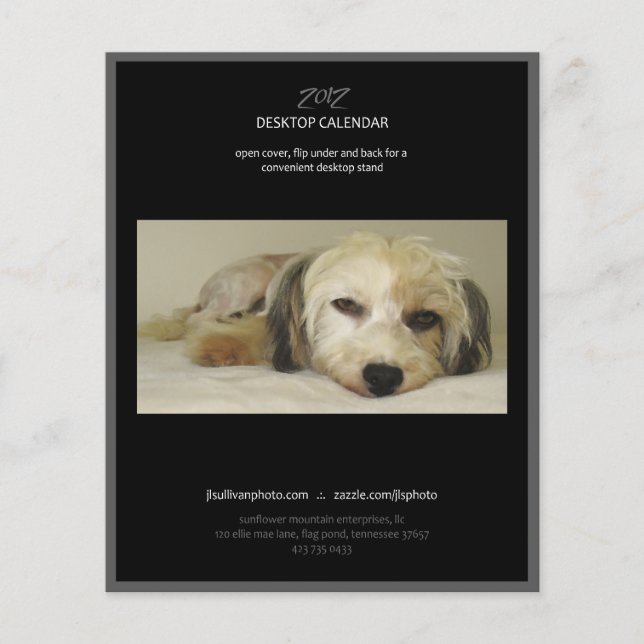 2012年カレンダー裏表紙 (正面)