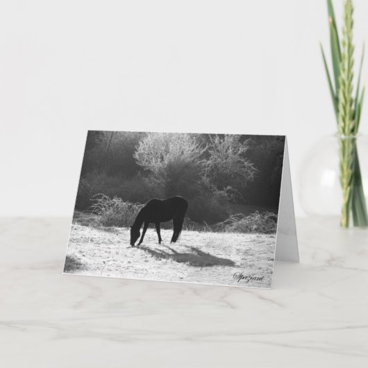 2012年クリスマスカード シーズンカード (正面)