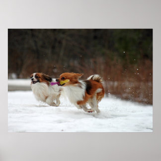 2012年冬の初日 ポスター