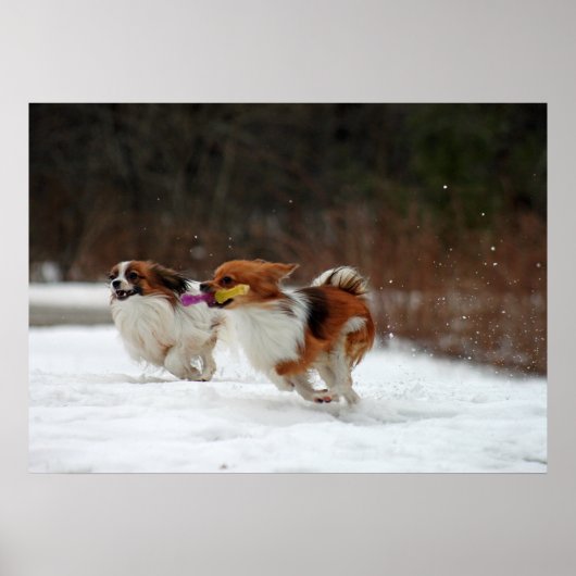 2012年冬の初日 ポスター (正面)