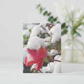 2012年1月バラはがき ポストカード (スタンド正面)