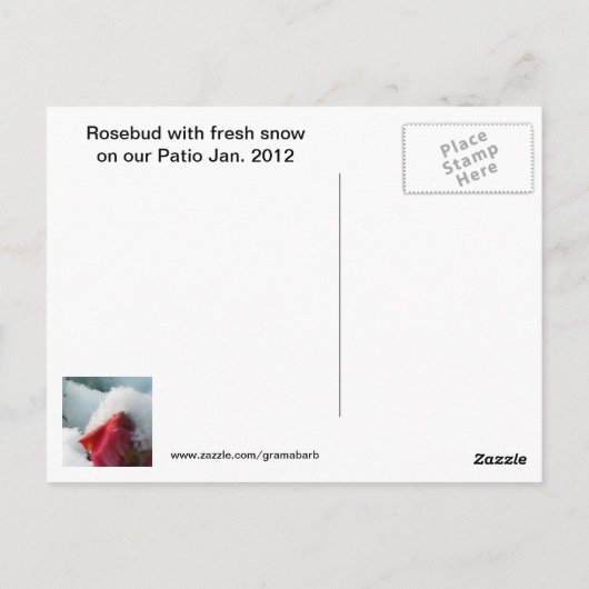 2012年1月バラはがき ポストカード (裏面)