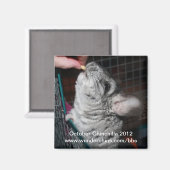 2012年10月中国マグネット マグネット (正面/裏面)