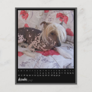 2012年12月カレンダー