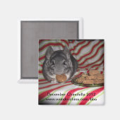 2012年12月中国マグネット マグネット (正面/裏面)