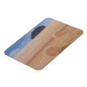 2012年2つのヘイベール マグネット (左側)