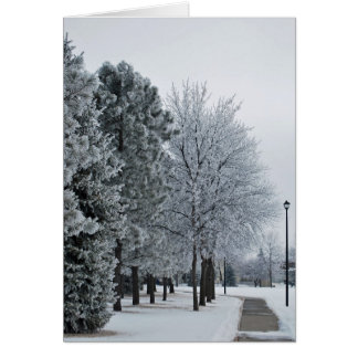 2012年2月の霜フロストGrand Forks、ノースダコタ