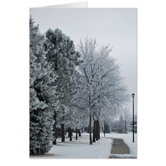 2012年2月の霜フロストGrand Forks、ノースダコタ (正面)