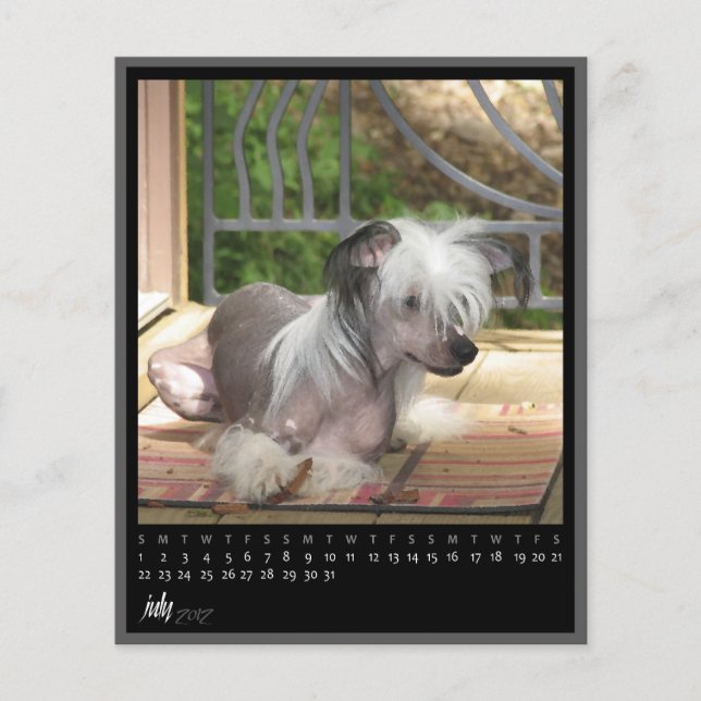 2012年7月カレンダー (正面)