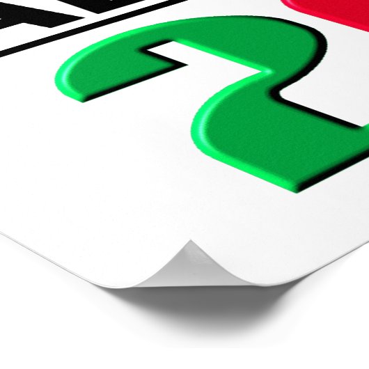 2012年：テコンドー ポスター (角)