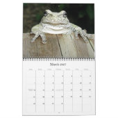 2012 Dave's Garden Calendar カレンダー (3月 2027)
