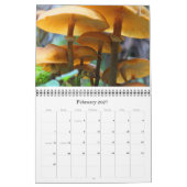 2012 Dave's Garden Calendar カレンダー (2月 2027)