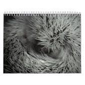 2013カレンダー3 カレンダー (カバー)