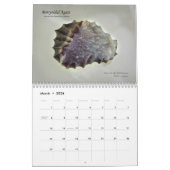 2013カレンダー カレンダー (3月 2026)