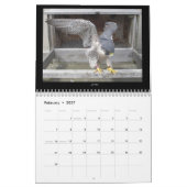2013カレンダー-主要なカム写真 カレンダー (2月 2027)