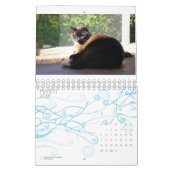 2013カレンダー- 5素晴らしい猫科の動物 カレンダー (3月 2027)