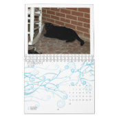 2013カレンダー- 5素晴らしい猫科の動物 カレンダー (2月 2027)