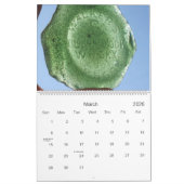 2013カレンダー- Frameableの写真 カレンダー (3月 2026)