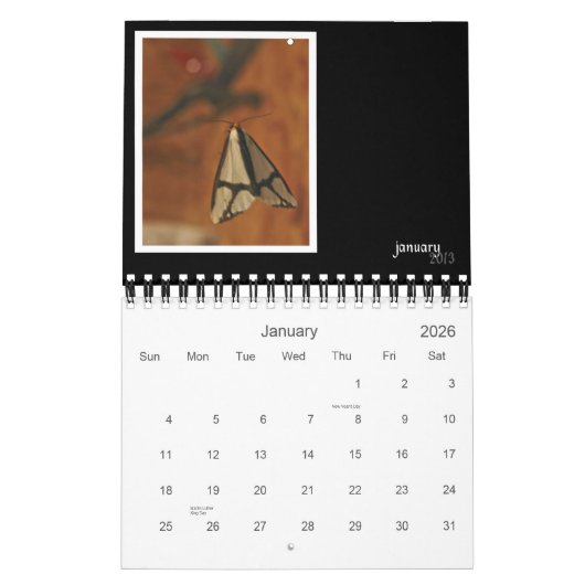 2013クリッター&バグウォールカレンダー カレンダー (1月 2026)