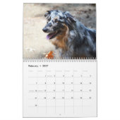 2013人のオーストラリア人の羊飼い犬のカレンダー カレンダー (2月 2027)
