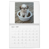 2013年のシーズー（犬）のTzuの子犬のカレンダー カレンダー (3月 2027)