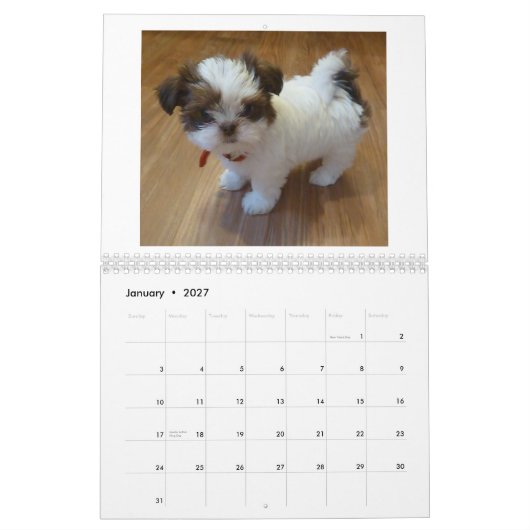 2013年のシーズー（犬）のTzuの子犬のカレンダー カレンダー (1月 2027)