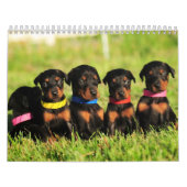 2013年のドーベルマン犬の子犬のカレンダー カレンダー (カバー)