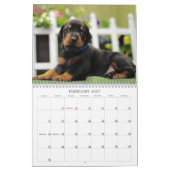 2013年のドーベルマン犬の子犬のカレンダー カレンダー (2月 2027)