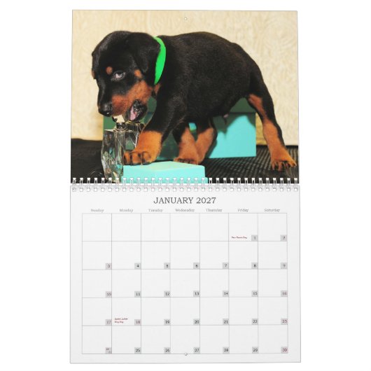 2013年のドーベルマン犬の子犬のカレンダー カレンダー (1月 2027)