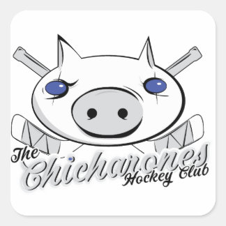 2013年のヒカロン スクエアシール